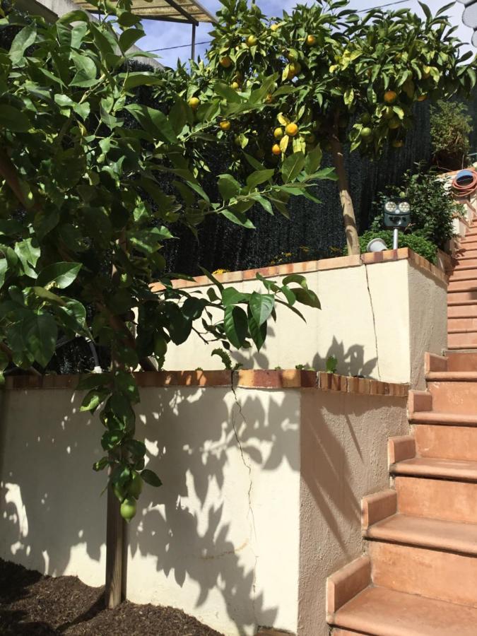 Villa Paradiso, Logement Avec Piscine, Nice Nord المظهر الخارجي الصورة